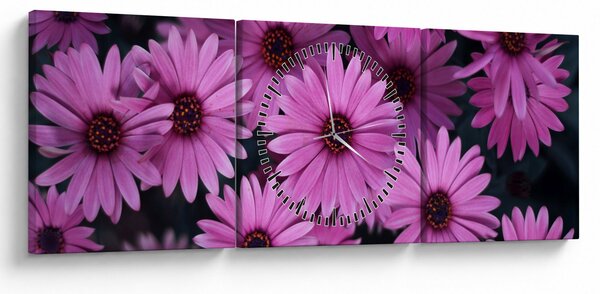 Slika ružičastog cvijeća (sa satom) (90x30 cm)