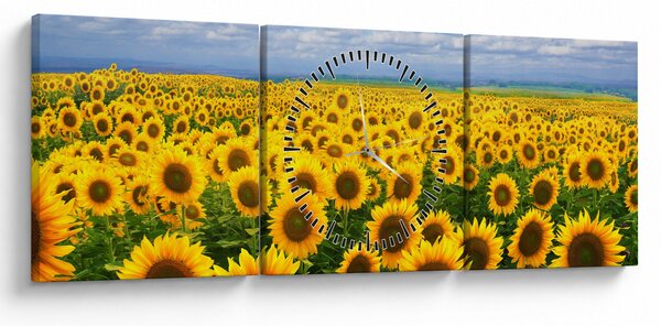 Slika polja suncokreta (sa satom) (90x30 cm)