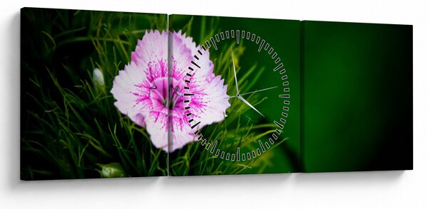 Slika ružičastog cvijeta (sa satom) (90x30 cm)