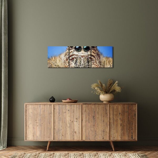 Slika detalja pauka (sa satom) (90x30 cm)