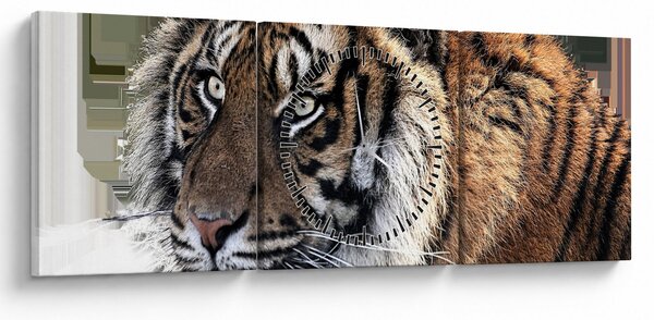 Slika tigra (sa satom) (90x30 cm)