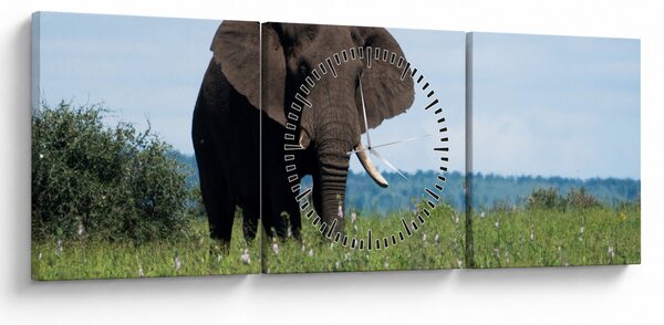 Slika slona (sa satom) (90x30 cm)
