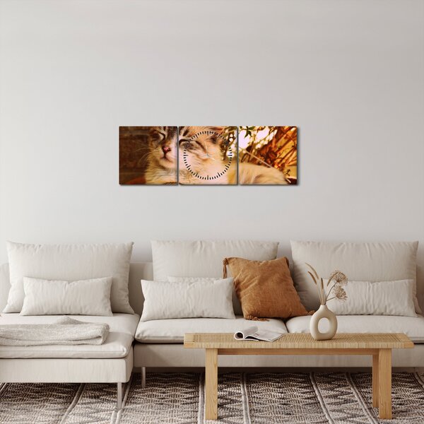 Slika mačke u loncu (sa satom) (90x30 cm)