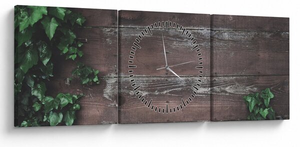 Slika - Bršljan (sa satom) (90x30 cm)
