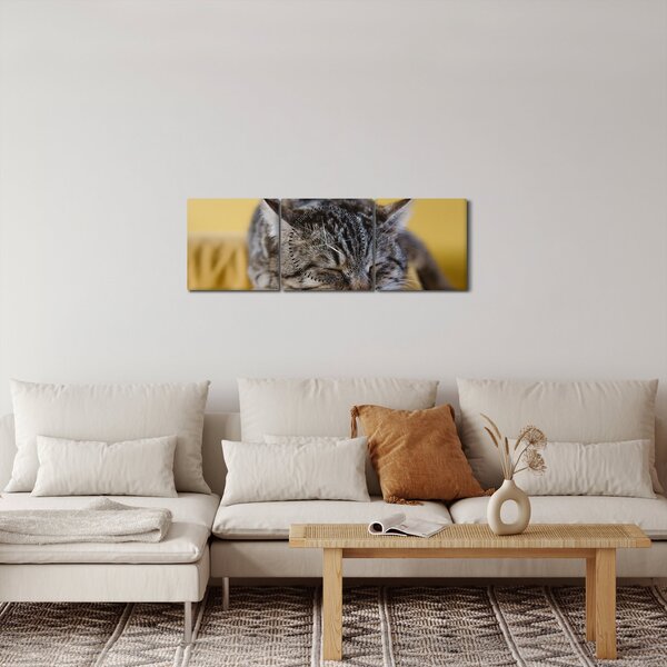 Slika mačke na kauču (sa satom) (90x30 cm)