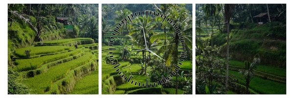 Slika rižinih terasa Tegalalang, Bali (sa satom) (90x30 cm)