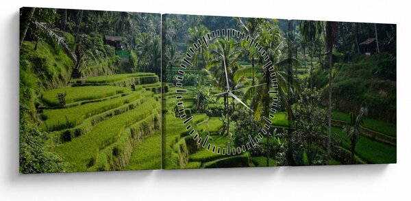 Slika rižinih terasa Tegalalang, Bali (sa satom) (90x30 cm)