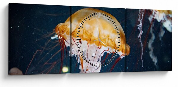 Slika meduze (sa satom) (90x30 cm)
