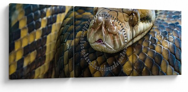 Slika - Piton (sa satom) (90x30 cm)