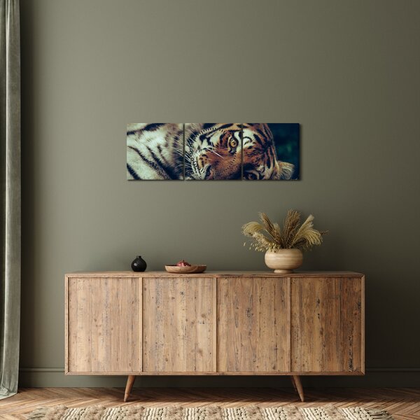 Slika - Sibirski tigar (sa satom) (90x30 cm)