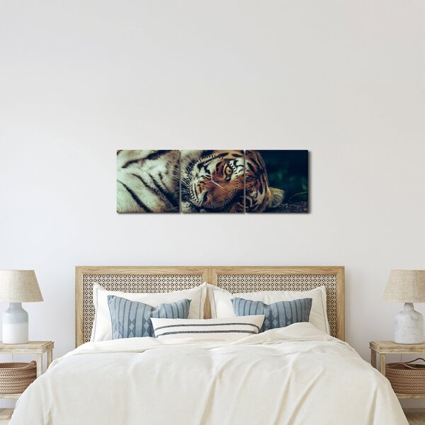 Slika - Sibirski tigar (sa satom) (90x30 cm)