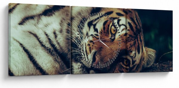 Slika - Sibirski tigar (sa satom) (90x30 cm)