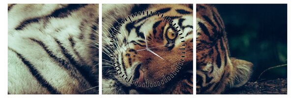 Slika - Sibirski tigar (sa satom) (90x30 cm)