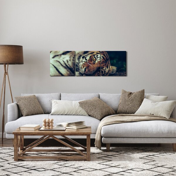 Slika - Sibirski tigar (sa satom) (90x30 cm)
