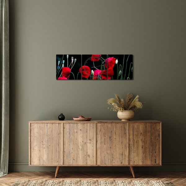 Slika - Ples makova (sa satom) (90x30 cm)