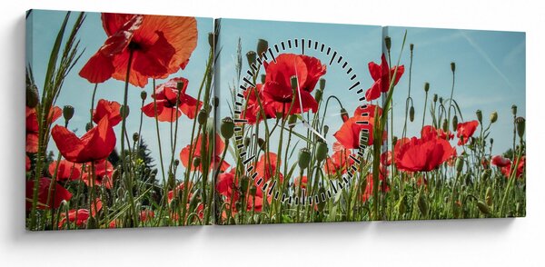 Slika - Na polju makova (sa satom) (90x30 cm)