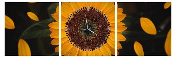 Slika - Suncokreti i latice cvijeta (sa satom) (90x30 cm)