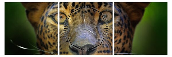 Slika - Portret leoparda, Šri Lanka (sa satom) (90x30 cm)
