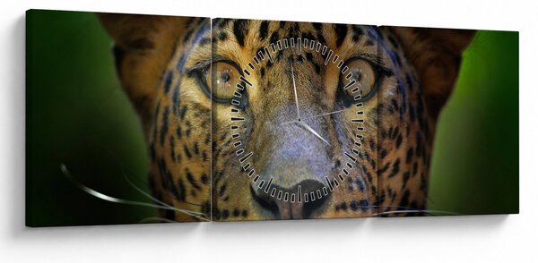 Slika - Portret leoparda, Šri Lanka (sa satom) (90x30 cm)