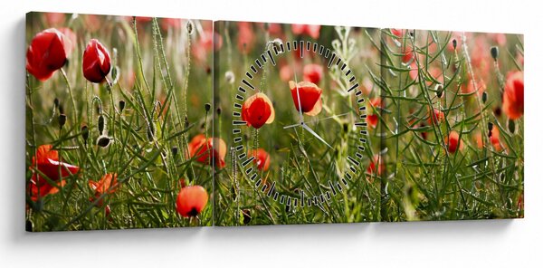 Slika procvalih makova (sa satom) (90x30 cm)