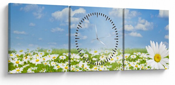 Slika procvjetale livade s tratinčicama (sa satom) (90x30 cm)