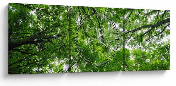 Slika - Pogled u krošnje drveća (sa satom) (90x30 cm)