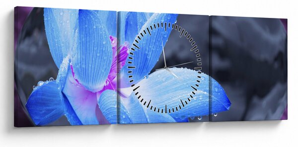 Slika detalj cvijeta (sa satom) (90x30 cm)