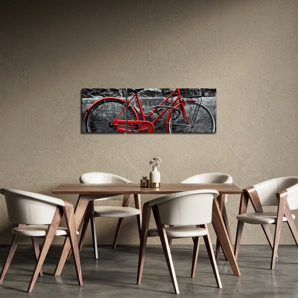 Slika - Povijesni bicikl (sa satom) (90x30 cm)