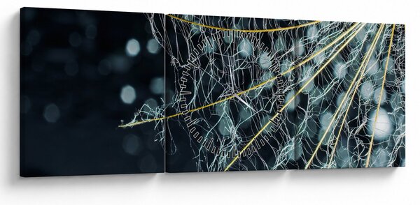 Slika - Cvijet s paučinom (sa satom) (90x30 cm)