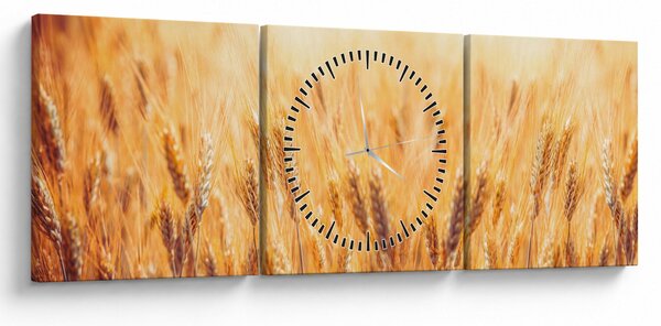 Slika - polje sa žitom (sa satom) (90x30 cm)