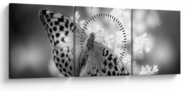 Slika - Detalj leptira koji oprašuje cvijet (sa satom) (90x30 cm)
