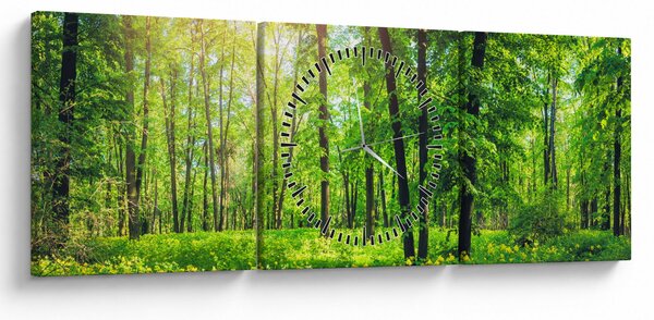 Slika - Proljetna listopadna šuma (sa satom) (90x30 cm)