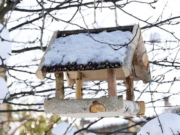 ATMOWOOD Hranilica za ptice od brezovog drva