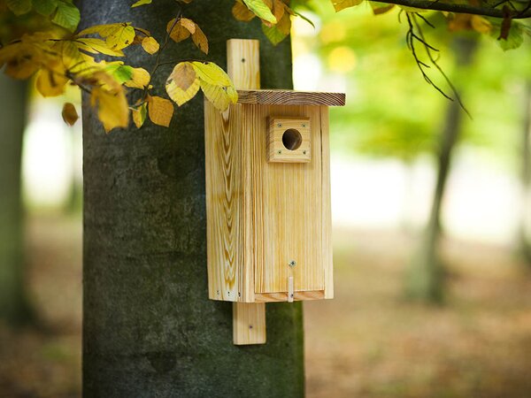 ATMOWOOD Drvena kućica za gniježđenje sjenica