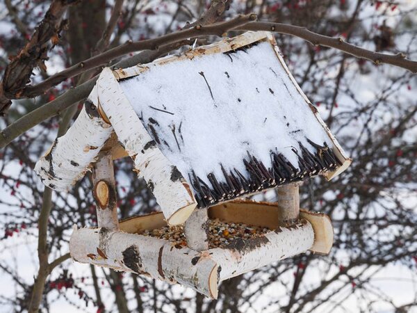 ATMOWOOD Hranilica za ptice od brezovog drva