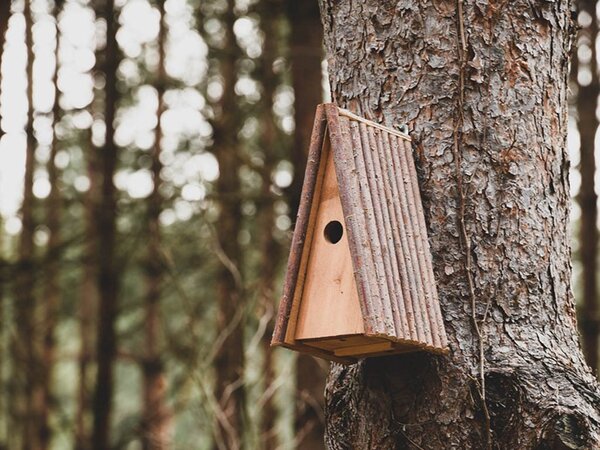 ATMOWOOD Drvena kućica za ptice - trokutasta