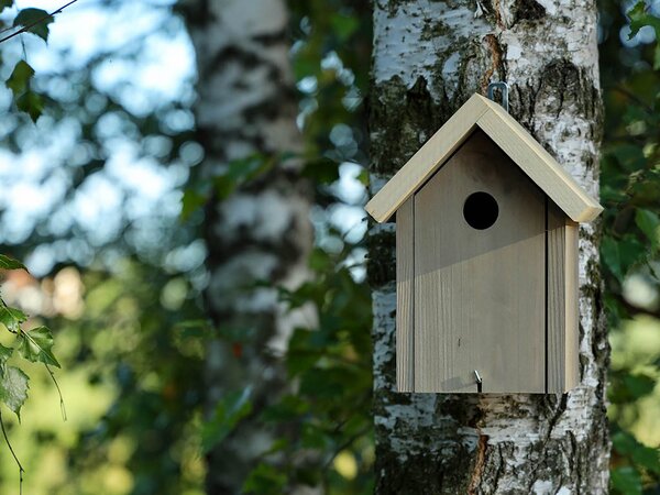 ATMOWOOD Drvena kućica za ptice - sjenice