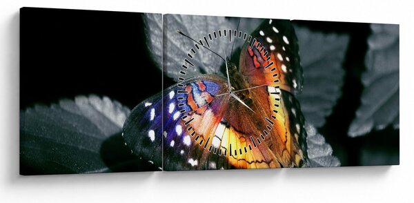 Slika leptira (sa satom) (90x30 cm)