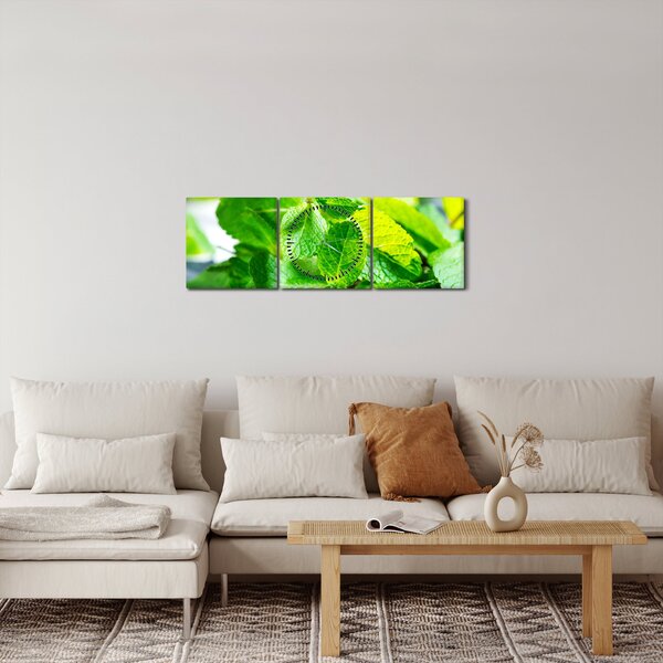 Slika metvice (sa satom) (90x30 cm)