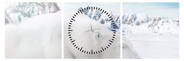Slika - Polarni medvjed (sa satom) (90x30 cm)