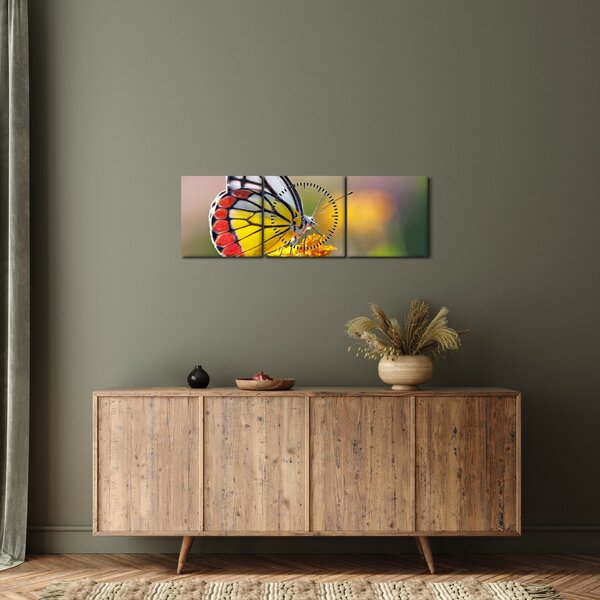Slika - Leptir na cvijetu (sa satom) (90x30 cm)