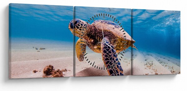 Slika - Kornjača u oceanu (sa satom) (90x30 cm)