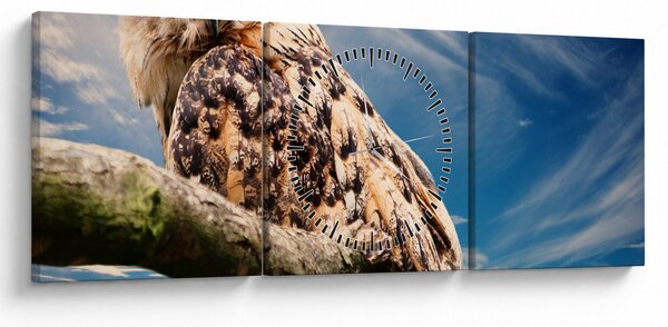 Slika - Sova (sa satom) (90x30 cm)