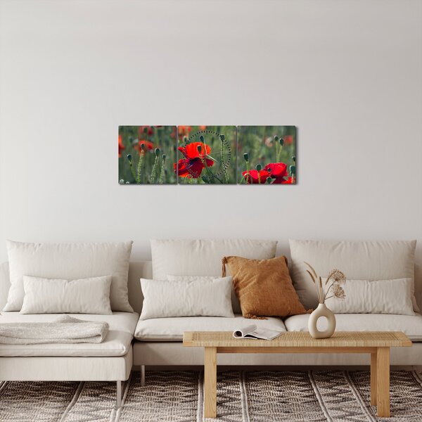 Slika - Livada s makom (sa satom) (90x30 cm)