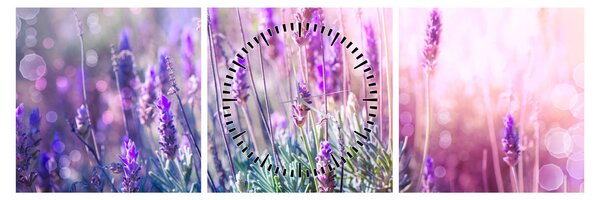 Slika - Lavanda u sjaju sunca (sa satom) (90x30 cm)