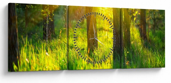Slika - Proljetno buđenje šume (sa satom) (90x30 cm)