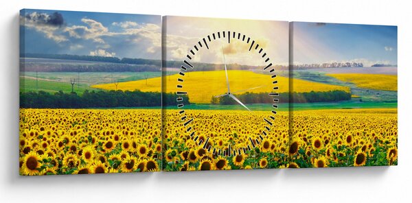 Slika - Polje suncokreta (sa satom) (90x30 cm)