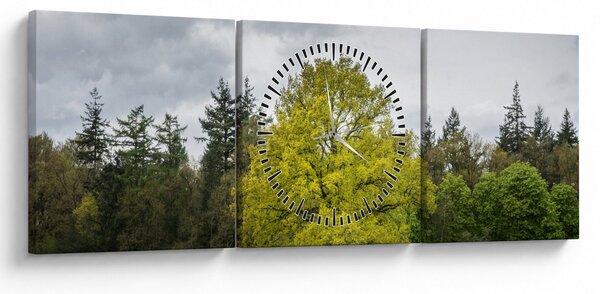 Slika zelenog stabla usred polja (sa satom) (90x30 cm)