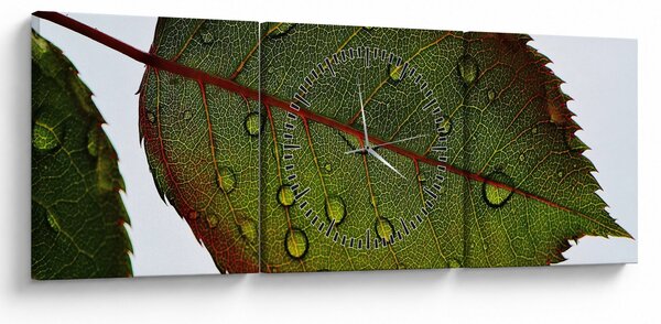 Slika - List ruže (sa satom) (90x30 cm)