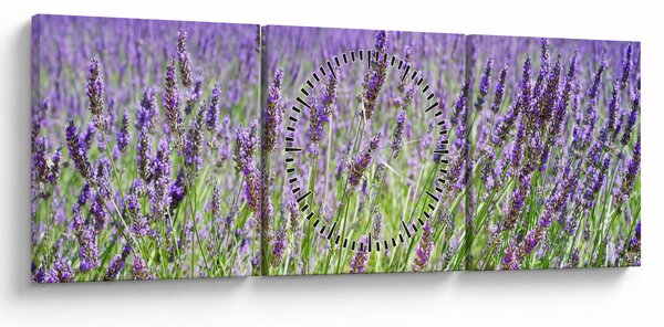 Slika polja s lavandom (sa satom) (90x30 cm)